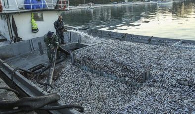 3 balıkçının ölümüne neden olduğu iddia edilmişti! Hamsi gazı var mı?