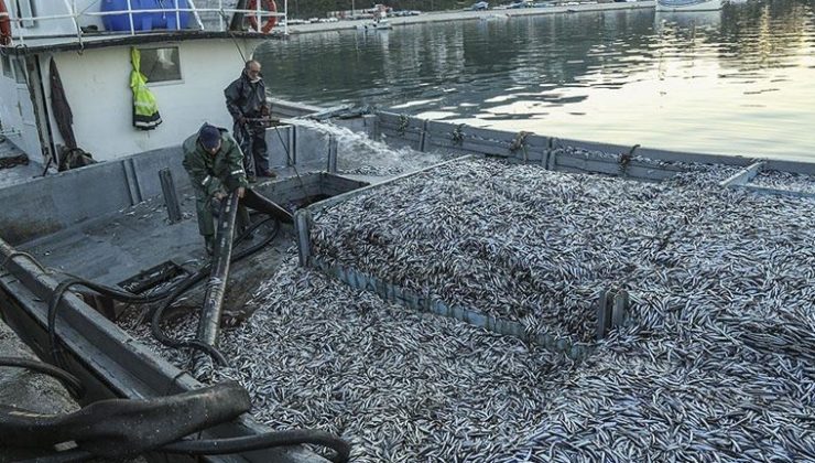 3 balıkçının ölümüne neden olduğu iddia edilmişti! Hamsi gazı var mı?