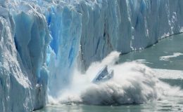 Bilim insanlarından korkutan açıklama: Güveler Antarktika’ya ulaştı!