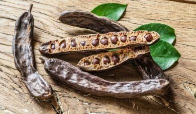 Her derde deva: İşte Keçiboynuzunun 6 mucizevi faydası…