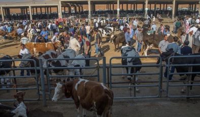 CHP’li Gürer: Hayvan varlığı azalınca, pazarda hayvan sayısı da azaldı!