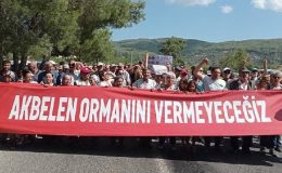 Katliama direniyorlar: İktidarın gözde şirketlerinin Akbelen’deki kıyımına karşı ekoloji örgütleri eylem yaptı