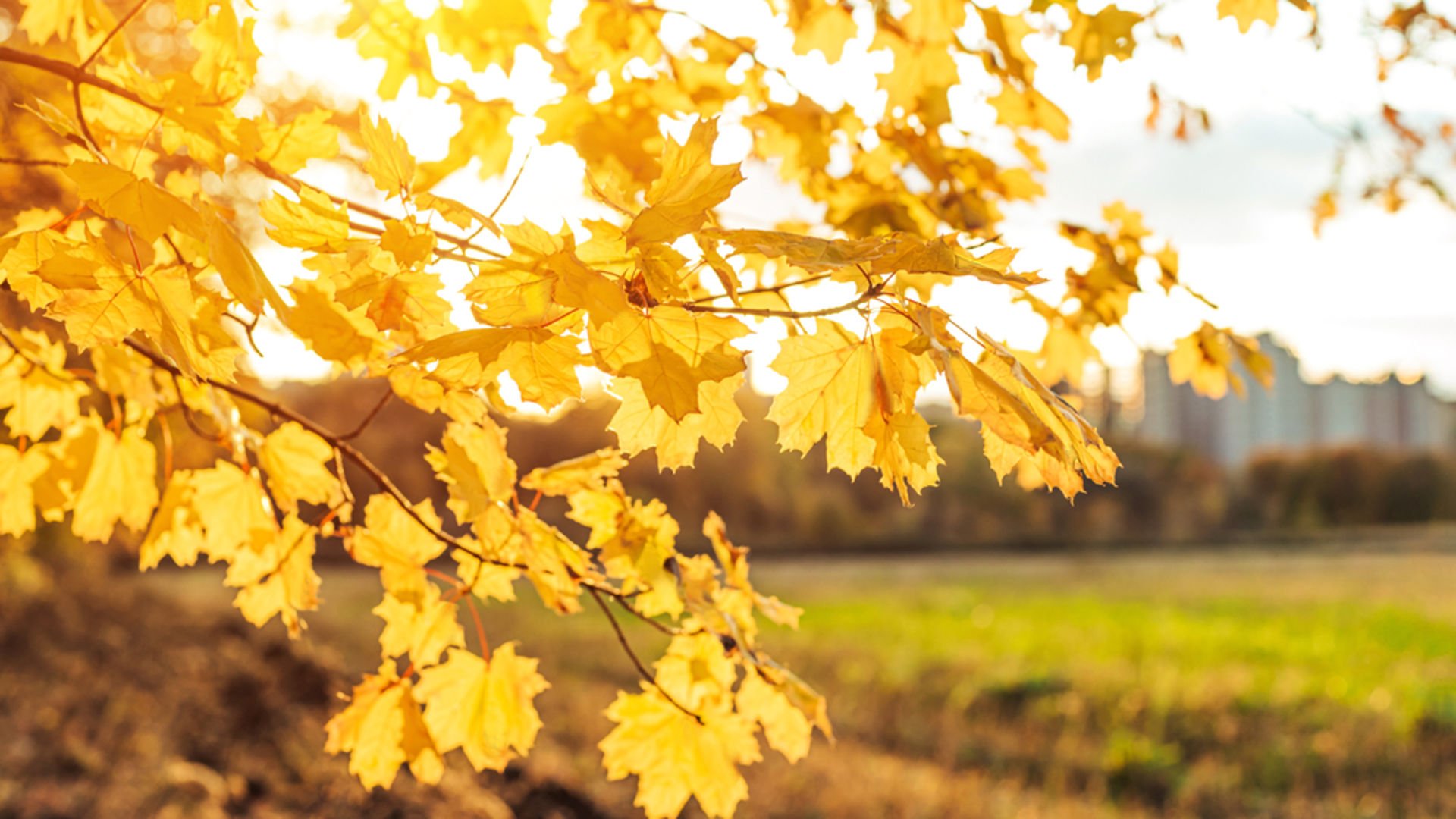 Sağlıklı bir sabah rutini için 11 adım