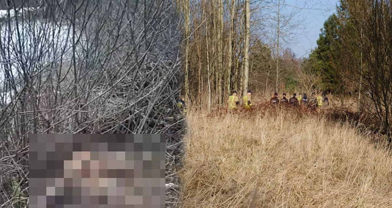 Bir yığın ölü hayvan bulundu: Polonyalı yetkililer hemen harekete geçti