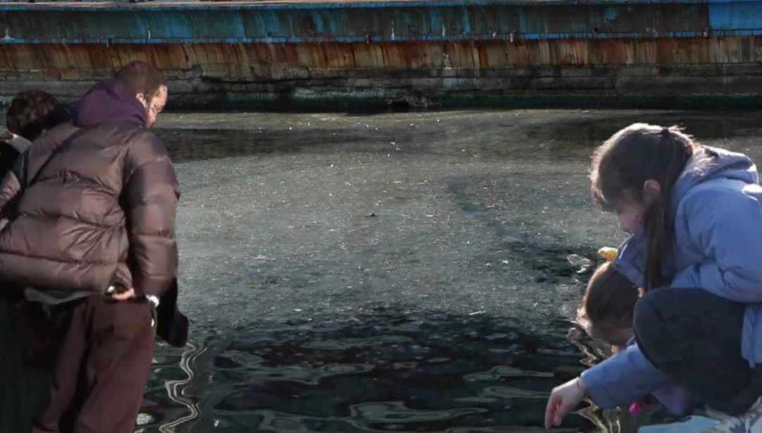 Marmara’da endişe artıyor: Adalar’da başladı, Moda’ya ulaştı