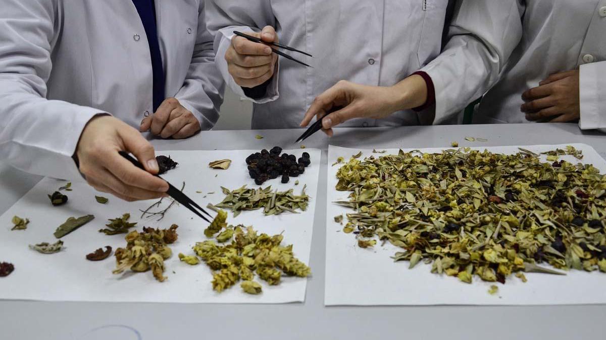 Bilimsel araştırma yapıldı: ‘Kış çayları yarardan çok zarar verebilir’